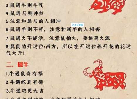 到底十二生肖谁最宽宏大量？这些属相最容易原谅人！