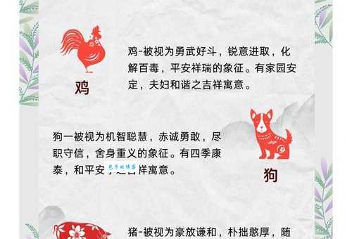四面八方是什么生肖？看完这个生肖解析你就懂了