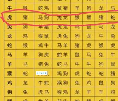 回旋余地打一准确生肖是哪个?看完这篇分析就懂了!