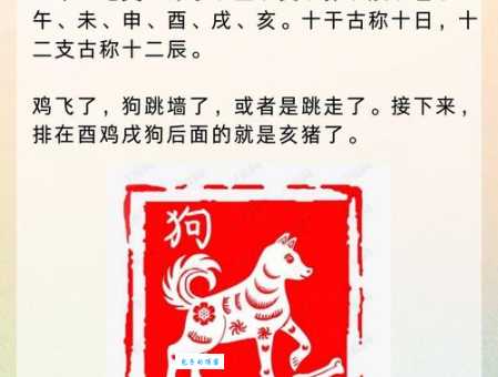 生肖迷津:南金东箭是什么生肖?资深玩家分享看法