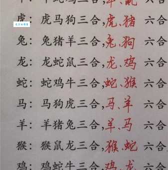 为什么这几个属相被称为龇牙咧嘴三大生肖?带你揭秘!