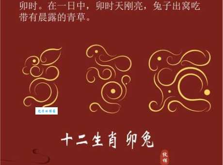 见异思迁打一准确生肖是什么?这个生肖最符合特征!