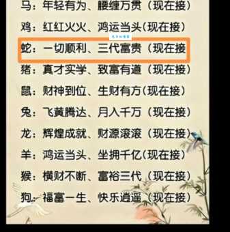 一名功成千古垂是什么生肖?看完这个解析你就懂了