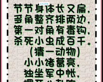 忧心忡忡打一准确动物是什么？看完谜底你就明白了！