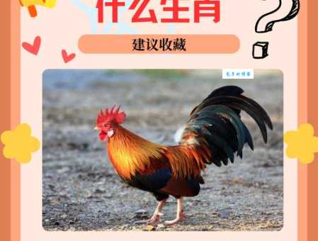 野外风光打一正确生肖是什么动物?带你了解生肖小知识!