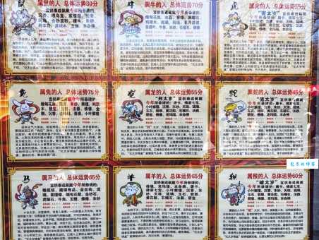 山海风波满天飞打一正确生肖，最新答案分析带你快速破解！