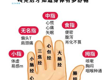 炙手可热最正确一肖解析，教你如何快速掌握核心思路！