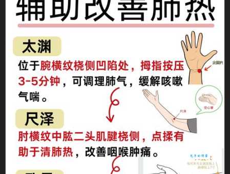 炙手可热最正确一肖解析，教你如何快速掌握核心思路！