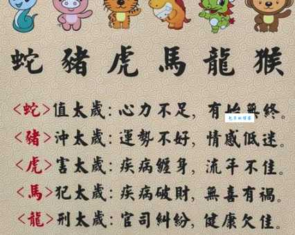 榆枋之见打一精准最佳生肖？解析谜底背后的深层含义