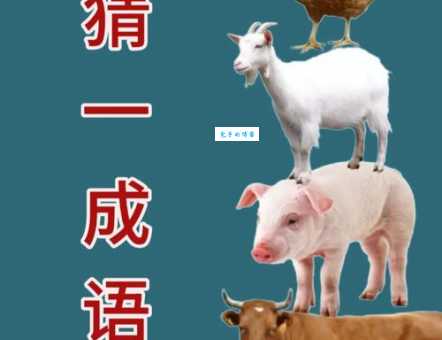 百发百中打一最佳动物的准确答案，快来看看你猜对了没！