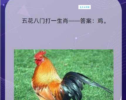 招蜂引蝶打一最佳动物？带你分析生肖背后的深刻含义！