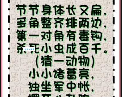归心似箭打一准确动物是什么？看完谜底你就明白了！