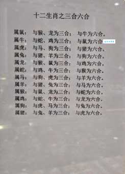 铲子是特马正确生肖指哪个生肖？这份详细攻略帮你搞清楚！