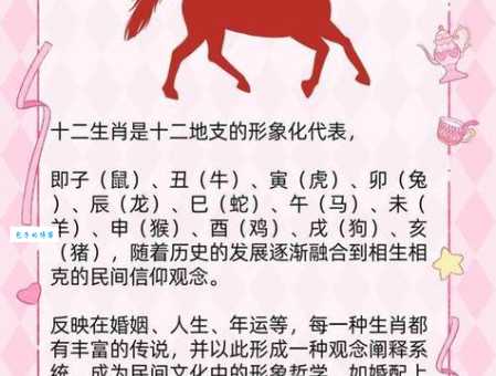 落落大方是什么生肖？这几个生肖行为举止最得体！