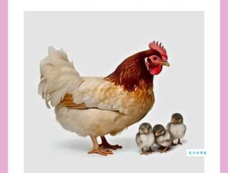 猜谜语不劳而获打一正确动物生肖，看看你猜对了没有！