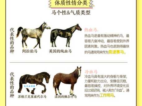 蛛丝马迹指代表什么生肖？看完这个解释你就彻底明白了！