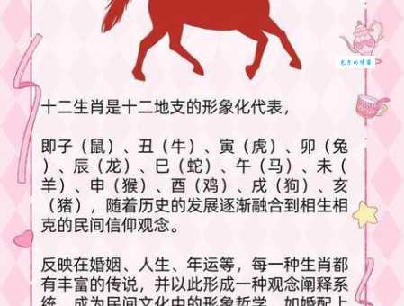 隋珠弹雀打一生肖是指哪个？带你了解典故背后的生肖！