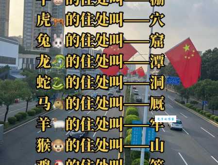 掂斤估两指代表什么生肖？三个角度帮你快速猜出答案