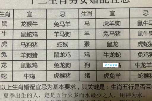 春回大地打一个生肖指的是谁？为您揭秘准确的答案