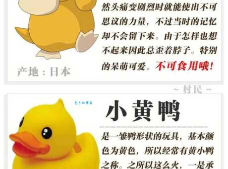 鸭子代表的三大生肖解析,快看看你的生肖上榜了吗?