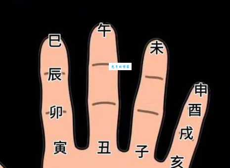 来日方长打一最佳生肖解析,老一辈人的推算方法分享