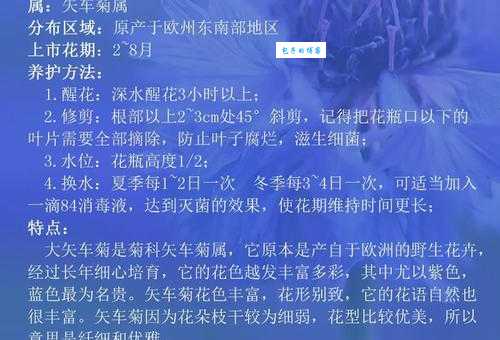 花不棱登是什么意思？带你了解这个词的用法和来源