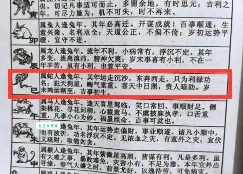 轰轰烈烈打一准确生肖是什么？专家带你揭秘背后真相！