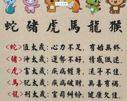 高山低谷皆可发挥长空无瑕露表里是什么生肖？这几个答案参考