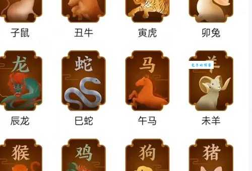 日不暇给猜一个生肖动物？这几个生肖最符合特征！
