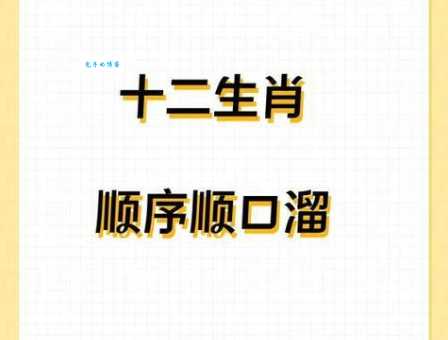 绵里藏针打一准确生肖是什么？揭晓答案背后的含义