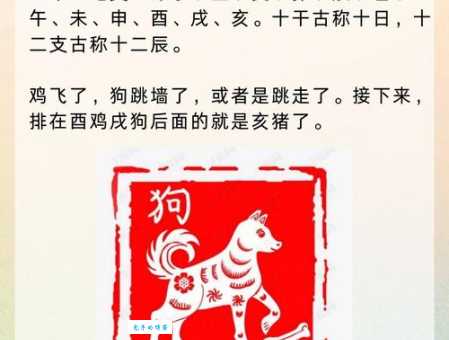 如愿以偿打一准确动物是什么生肖？看完这个解析就懂了！