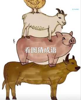 看图猜成语昏天黑地指什么生肖？这里有详细解答！