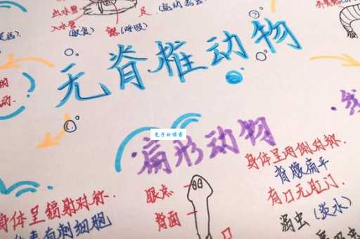 高枕无忧打一精准动物？这几个解析让你一看就懂！