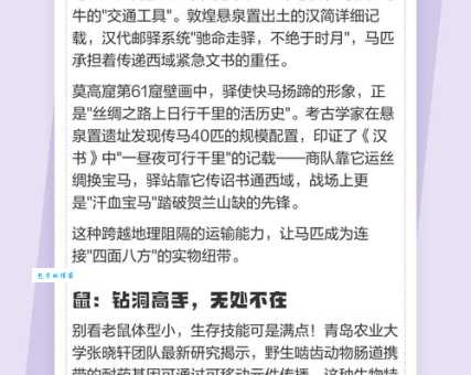阳光大道打一个正确生肖的答案，看这里带你快速解开谜题！