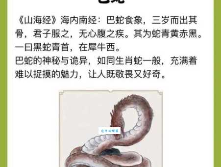 跋山涉水代表什么生肖？看看这些生肖特质你准不准！