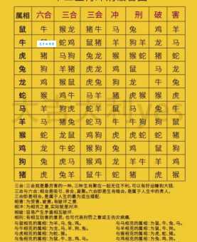 什袭而藏指是打什么最佳准确生肖？深度解析其中的奥秘！