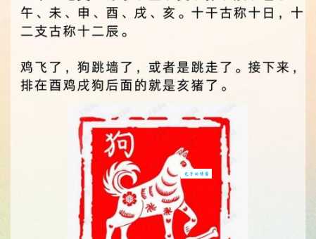 从天而降是什么生肖？看完这个生肖解析你就懂了！