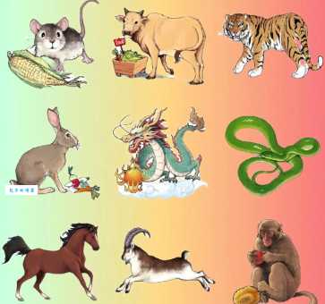 身长肢短尾巴粗打一正确生肖？这几个关键信息帮你找答案！