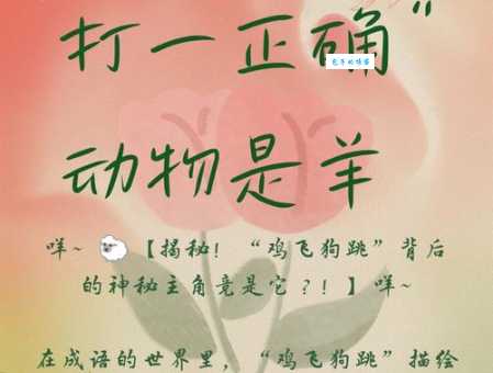 重见天日打一最佳动物？带你揭开这个谜语背后的真相！