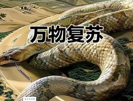 重见天日打一最佳动物？带你揭开这个谜语背后的真相！