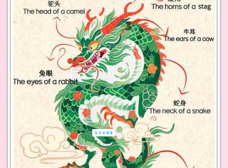 十二生肖之龙行天下是什么意思？带你深入了解龙的传说