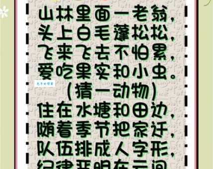 以狸至鼠打一数字是多少？带你快速揭晓谜底！