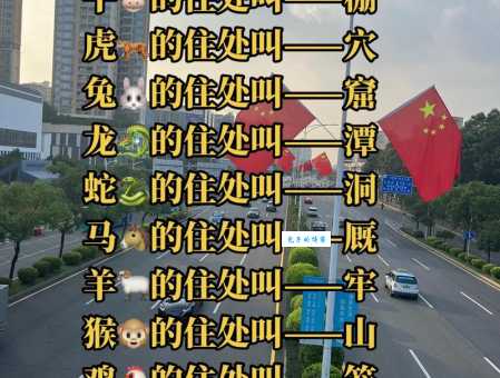 大义凛然打一最佳动物是谁？看民间高手如何巧妙解谜！