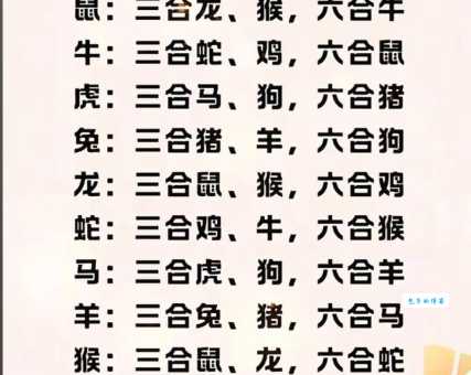 五代同堂指什么生肖？寻找打一准确生肖的最佳答案！