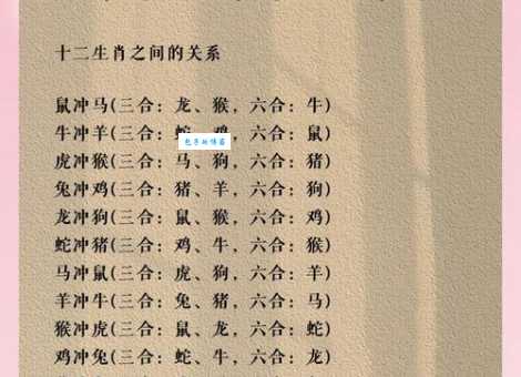 五代同堂指什么生肖？寻找打一准确生肖的最佳答案！
