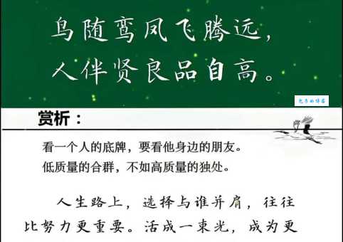良禽择木而栖是什么意思？带你深入领悟古人的处世哲学！