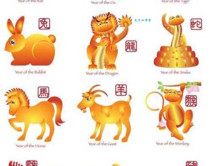 颠三倒四打一准确生肖是什么？这个生肖最符合特征！