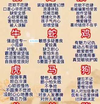 后悔当初没下手是什么生肖?老辈人分享这个生肖的性格