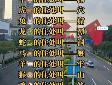 浮光掠影打一最佳生肖怎么猜？带你了解背后的生肖含义！