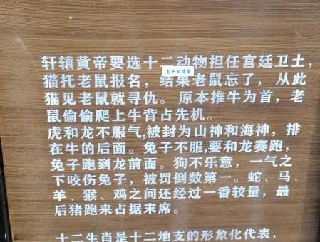 人弃我取是什么生肖？揭秘背后的含义与生肖故事！